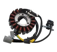 Bobina Statore Generatore Moto Per CBF150 Per 150 KTT 2010 SDH150CB-SF WH150-2 18 Poli Magneto Parti Motore Bobina Magnetica Accensione