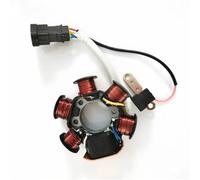 Bobina Statore Generatore Motore Avvolgimento Per 50LX Per PIAGGIO50 Per 50 2T Statore Magnete Piastra Bobina
