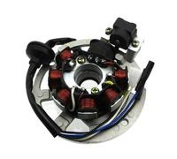 Bobina statore Magnete 5 Fili 7 Bobine Statore Magnete di accensione per 2 Tempi Eton per Arctic Cat per Jog per Minarelli 50 50cc 90 90cc Scooter