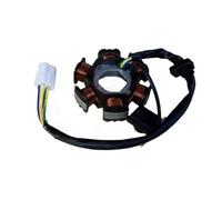 Bobina statore Magnete 6 8 11 12 18 Poli Motore elettromagnetico trifase AC DC Bobina di accensione Statore per GY6 125c 150 per 152QMI per 157QMJ GY7