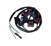 Bobina statore Magnete 6 8 11 12 18 Poli Motore elettromagnetico trifase AC DC Bobina di accensione statore per ATV per GY6 125c 150 152QMI 157QMJ GY7