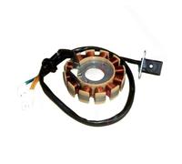 Bobina statore Magnete 6 8 11 12 18 Poli Motore elettromagnetico trifase AC DC Bobina di accensione Statore per GY6 125c 150 per 152QMI per 157QMJ GY7