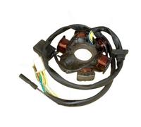 Bobina statore Magnete 6 8 11 12 18 Poli Motore elettromagnetico trifase AC DC Bobina di accensione Statore per GY6 125c 150 per 152QMI per 157QMJ GY7