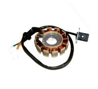 Bobina statore Magnete 6 8 11 12 18 Poli Motore elettromagnetico trifase AC DC Bobina di accensione statore per ATV per GY6 125c 150 152QMI 157QMJ GY7
