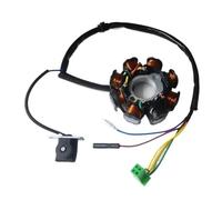 Bobina statore Magnete 8 Poli 5 Fili Statore Magnete a Corrente Continua per Scooter 4 Tempi per ATV Go Kart per GY6 125 GY6 150 CC per 152QMI 157QMJ 1P57QMJ