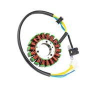 Bobina Statore Magnete 93mm Generatore 18 Poli Per YP250 250 300 LH250 250cc ATV QUAD Ricambi Moto Accessori Statore Magnete Piastra Bobina