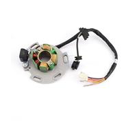 Bobina statore Magnete Accessori Moto Bobina statore Magnete Set rotore Magnete per Lifan LF150 150cc Dirt Pit Orizzontale per Monkey 150cc