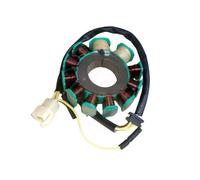 Bobina statore Magnete Accessori per Moto Bobina generatore Magnete Statore raffreddato ad Acqua Scooter Ciclomotore per Elite CH125 CH150 CF150 152MI 157MJ