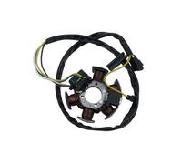 Bobina statore Magnete Accessori per Moto per AM6 50 Statore volano Magnete per DT50 per TZR 50 Bobina di accensione generatore Scooter ciclomotore
