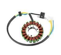 Bobina statore Magnete Adatta Accessori per Moto Parte raddrizzatore Regolatori di Tensione Bobina statore Magnete Guarnizione per YP250 LH250 per ATV