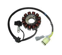 Bobina statore Magnete Adatta per Moto, ricambi e Accessori Goten 12 Bobine statore Magnete per ZongShen per NC250 per NC450 250cc 450cc Dirt