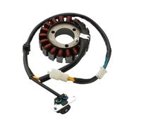 Bobina statore Magnete Adatta per Moto, ricambi e Accessori per Scooter, Bobina statore Magnete per Speedfight 4 125cc per Modello QP150-2C MA1