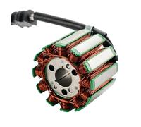 Bobina statore Magnete Adatta per Moto, ricambi e Accessori, statore generatore Compatibile con YZF R1 04-08, FZ1 FZS1 06-15, FZ8 FZ8N FZ8S 11-13