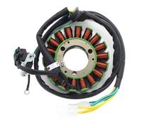Bobina statore Magnete Adatta per motociclette, ricambi e Accessori, Guarnizione Bobina statore Magnete accensione per CBF250 CBX250 per Modello 31120-KPF-911