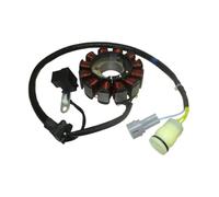 Bobina statore Magnete Adatta per ricambi e Accessori per Moto, 12 Bobine, Guarnizione statore Magnete per ZongShen NC250 NC450 250cc 450cc Modello da Cross
