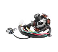 Bobina statore Magnete Adatta per ricambi e Accessori per Moto, 6 Bobine statore Magnete 83mm Compatibile con Bali 50 Dio 50 per Elite 50 SR50 SA50 SK50