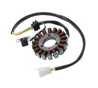 Bobina statore Magnete Adatta per ricambi e Accessori per Moto, alternatore generatore per GN250, statore Magnete, Bobina Magnete per Bobine di Ricarica da 250cc