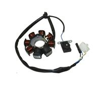 Bobina statore Magnete Adatta per ricambi e Accessori per Moto, ciclomotori e Scooter Sunl Roketa 8 Bobine, Guarnizione statore Magnete Adatta per GY6 49cc 50cc