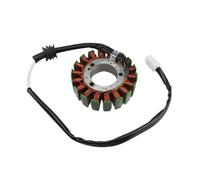 Bobina statore Magnete Adatta per ricambi e Accessori per Moto. Guarnizione Bobina statore Magnete Compatibile con 4XV-81410-01 per YZF R1 1998 1999 2000 2001
