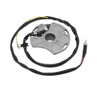Bobina statore Magnete Adatta per ricambi e Accessori per motociclette, Bobina statore generatore di accensione per Gas Gas EC125 2001 per MC250034005