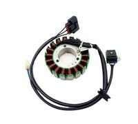 Bobina statore Magnete Adatta per ricambi e Accessori per motociclette, Guarnizione Bobina Magnete accensione statore per Jetmax 250 per Scooter Modello CF250T-6A