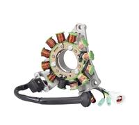 Bobina statore Magnete Adatta per ricambi e Accessori per motociclette. Guarnizione Bobina statore Magnete per Banshee 350 per YFZ350 1995-2006 Modello 3GG-85510-01