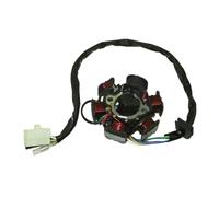 Bobina statore Magnete Adatta per ricambi e Accessori per motociclette, statore di accensione, Bobina Magnete, Guarnizione per Motore GY6 50cc, ciclomotore, Scooter Sunl Roketa