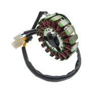 Bobina statore Magnete Bobina di accensione Statore generatore per CBF150 per SDH150 per WH150-2 RR150 SDH RR WH 150 150cc KTT per Modello SDH150CB-SF