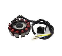 Bobina statore Magnete Bobina statore accensione Magnete 12 Poli per GY6 125cc 150cc Ciclomotore ATV Quad Go Kart Moto Bobina statore