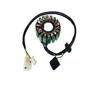 Bobina statore magnete compatibile con AN125 125CC HS125T 125CC HJ125T 125CC motore scooter 5 fili 18 poli rotore interno CC