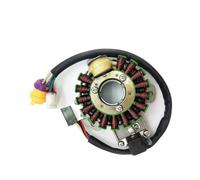 Bobina statore magnete compatibile con motore QUAD JS250 250CC ATV250-5 16 bobine 12V
