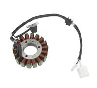 Bobina Statore Magnete Compatibile Con Yamaha XP500 TMAX T-MAX 500 2001 2002 2003 5GJ-81410-01