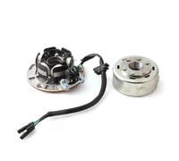 Bobina statore Magnete Kit rotore statore Bobina Magnete Senza Luce per Motore YX 150cc 160cc Pit Dirt PitsterPro Stomp Thumpstar per SDG GPX