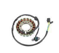 Bobina Statore Magnete Moto 32101-02F00 Per Suzuki TL1000R 1998 1999 2000 2001 2002 2003 TL1000S 1997