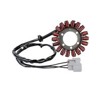 Bobina statore Magnete Moto Bobina statore accensione Magnete per S1000RR per S1000R per M1000RR per M1000R Motore 2022-2024