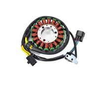 Bobina statore Magnete Moto Bobina statore per 32101-13E00 32101-13E02 32101-13E03 32101-29F00 32101-29F10 Dr 250R DRZ 250 DRZ 400