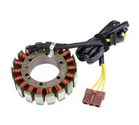 Bobina Statore Magnete Moto Compatibile Con RSV1000 Tuono 2006-2009 RSV1000R 2004-2008 ETV1000 RST1000
