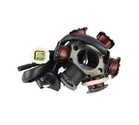Bobina statore Magnete Moto per KYMCO ATV Mongoose 50 2004 2005 2006 31120-LBD3-900 Bobina statore accensione Moto