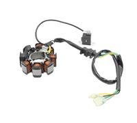 Bobina Statore Magnete Moto Per TRX200A FourTrax 200 1990 1991 TRX200D Type II 1997 31120-HF1-000 Bobina Statore Accensione