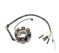 Bobina Statore Magnete Moto Per TRX200SX FourTrax TRX 200SX 1986 1987 1988 Bobine Di Accensione Motore 31120-HB3-014