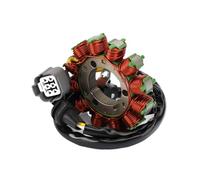 Bobina statore Magnete Moto Ricambi Accessori Alternatore Generatore Magnete Bobina statore Motore per Modello KX250F KX450F KX252 KX 250