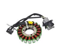 Bobina statore Magnete Moto Ricambi Accessori STATORE di ACCENSIONE Magnete Alternatore per 1995-03 per SeaDoo 800 951 GTX GSX SPX RX XP