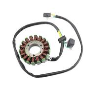 Bobina statore magnete motore motocicletta 32101-42A40 32101-42A30 Compatibile con Suzuki DR200SE 1996 2013 DR125SE 1994 2002