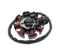 Bobina statore Magnete per CG125 125cc 150cc 200cc 250cc per Scooter Zongshen ciclomotore per ATV Quad Dirt Pit 4 Ruote Bobina di accensione a 8 Poli statore