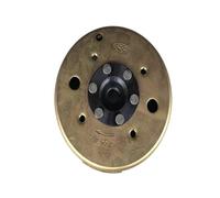 Bobina statore Magnete per Moto 8 Poli Bobina statore Magnete a Onda Intera CC Generatore Cilindro Magnetico per WH100T per SCR100 per GCC100 100cc