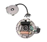 Bobina statore Magnete per Moto a 4 Tempi, Cablaggio Bobina di accensione, statore Magnete, centralina CDI per Moto da Cross motorizzate da 50cc 70cc 110cc 125cc.