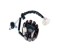 Bobina statore Magnete per Moto e Scooter, Kit rotore Interno, statore di accensione, Bobina Magnete per Cygnus Z per ZY125T-3, Parti in 11 Poli 58 Fili