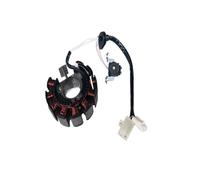Bobina statore Magnete per Moto e Scooter, Kit rotore Interno, statore di accensione, Bobina Magnete per Cygnus Z per ZY125T-3, Parti in 11 Poli 58 Fili