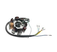Bobina statore Magnete per Moto, ricambi e Accessori, 8 Poli, Bobina di accensione Magnete, statore generatore per CB125 WY125 WY150 CB150 WY CB 125 150