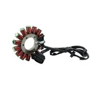 Bobina statore Magnete per Moto, ricambi e Accessori, alternatore a 15 Poli per S 1000 XR S1000XR 2014 2015 2016 2017 2018 2019 per 12318553990